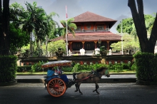 Туры в Денпасар (Индонезия) - купить путевку из Москвы, цены на 2024 от Пегас Туристик