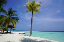 Туры на Ари Атолл (Мальдивы) - купить путевку из Москвы, цены на 2024 от Пегас Туристик