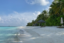 Туры на Баа Атолл (Мальдивы) - купить путевку из Москвы, цены на 2024 от Пегас Туристик