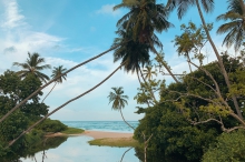 Туры в Кандаламу (Шри Ланка) - купить путевку из Москвы, цены на 2024 от Пегас Туристик