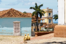 Туры в Тринидад (Куба) - купить путевку из Москвы, цены на 2024 от Пегас Туристик