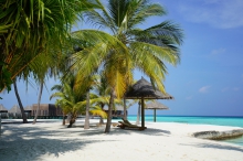 Туры на Лааму Атолл (Мальдивы) - купить путевку из Москвы, цены на 2024 от Пегас Туристик