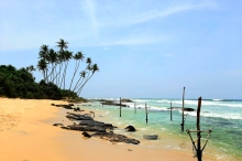 Туры в Коггалу (Шри Ланка) - купить путевку из Москвы, цены на 2024 от Пегас Туристик